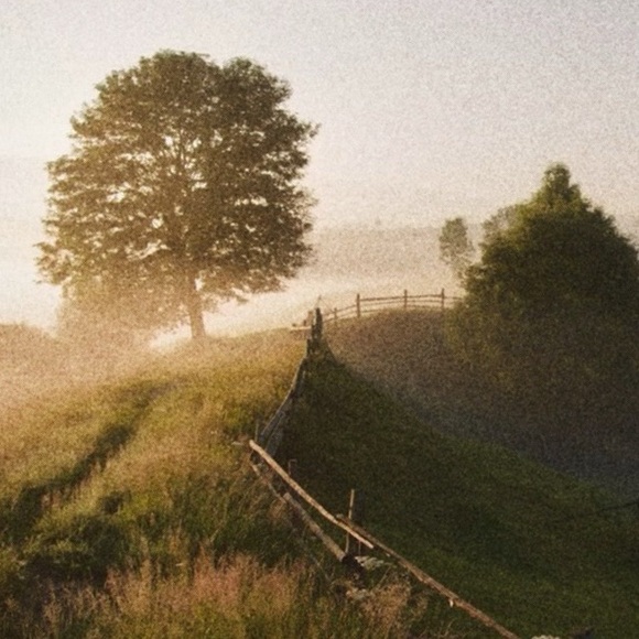 Cinderella Enamel Pin's - Disney Blue Birds - Picture 2 of 4